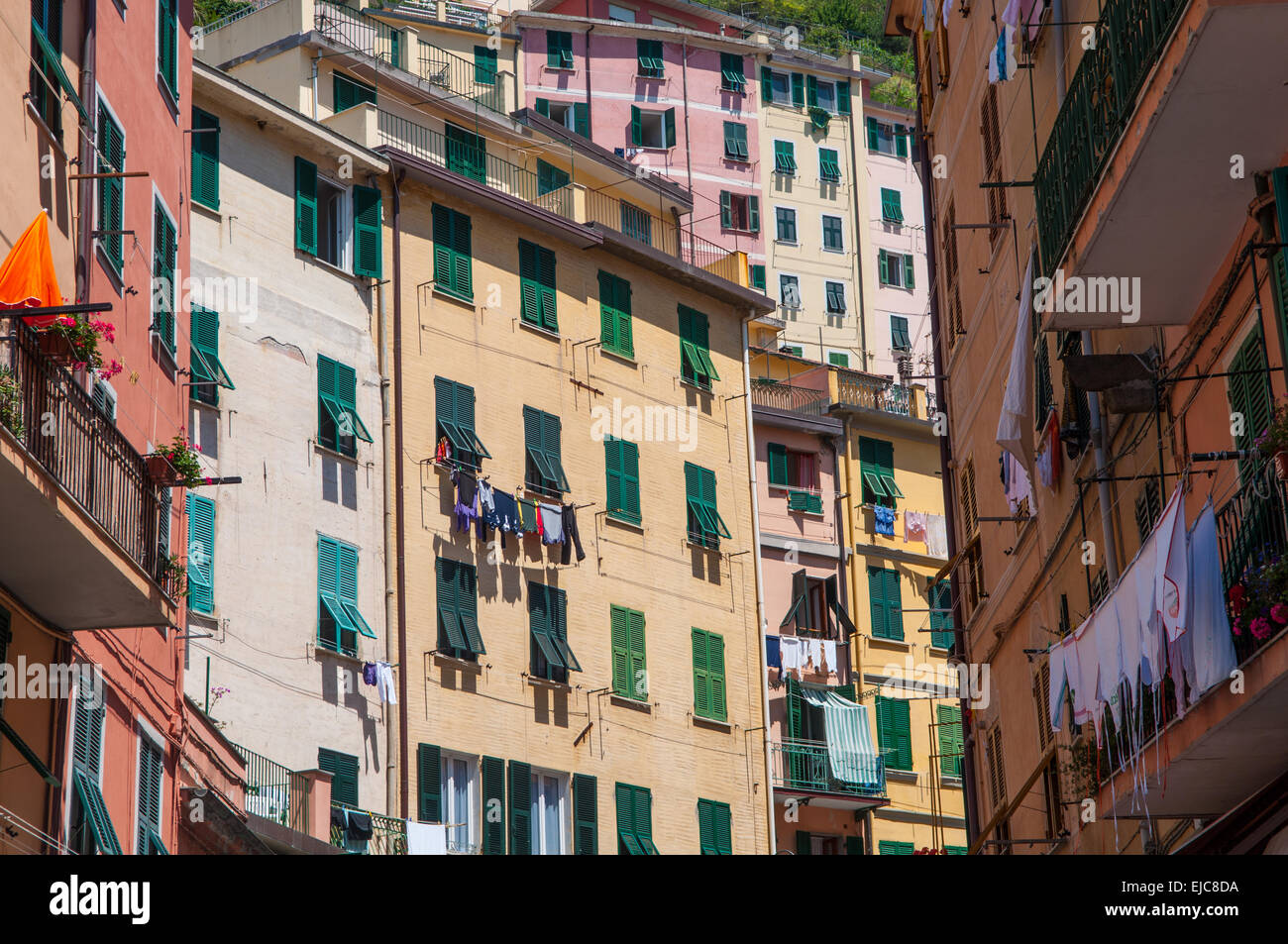Bunte Häuser in Cinque Terre Italien Stockfoto