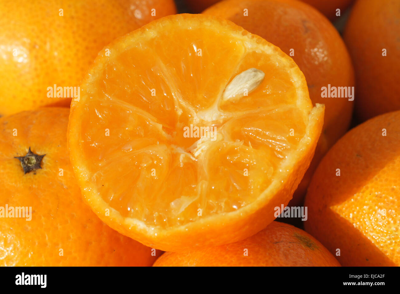 Clementine Mandarine Stockfoto