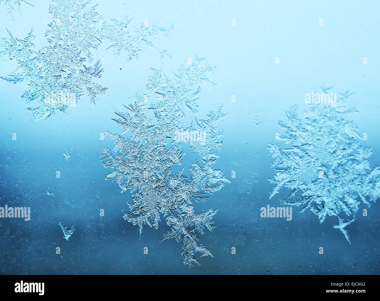 Frost am Fenster Stockfoto