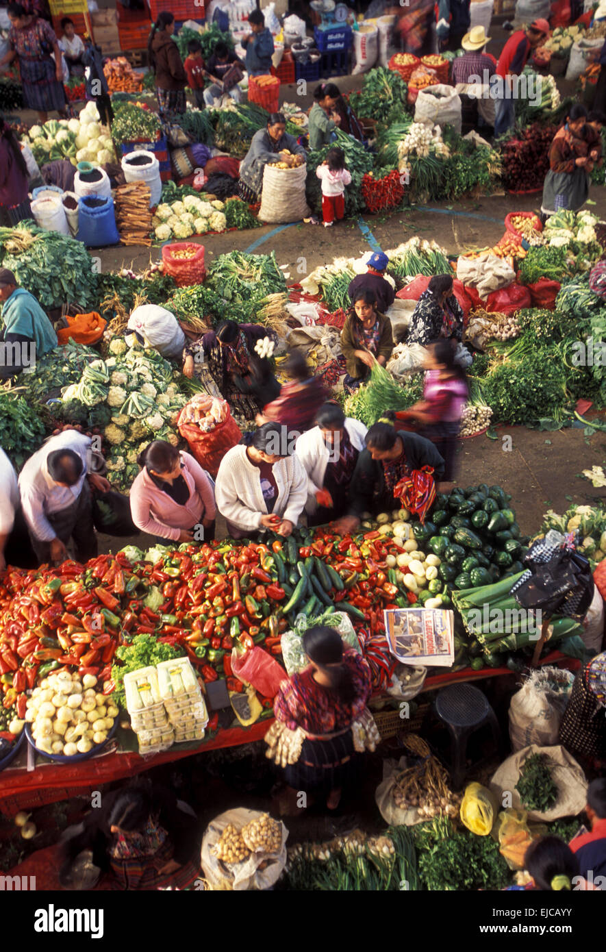 LATEIN AMERIKA GUATEMALA CHICHI Stockfoto