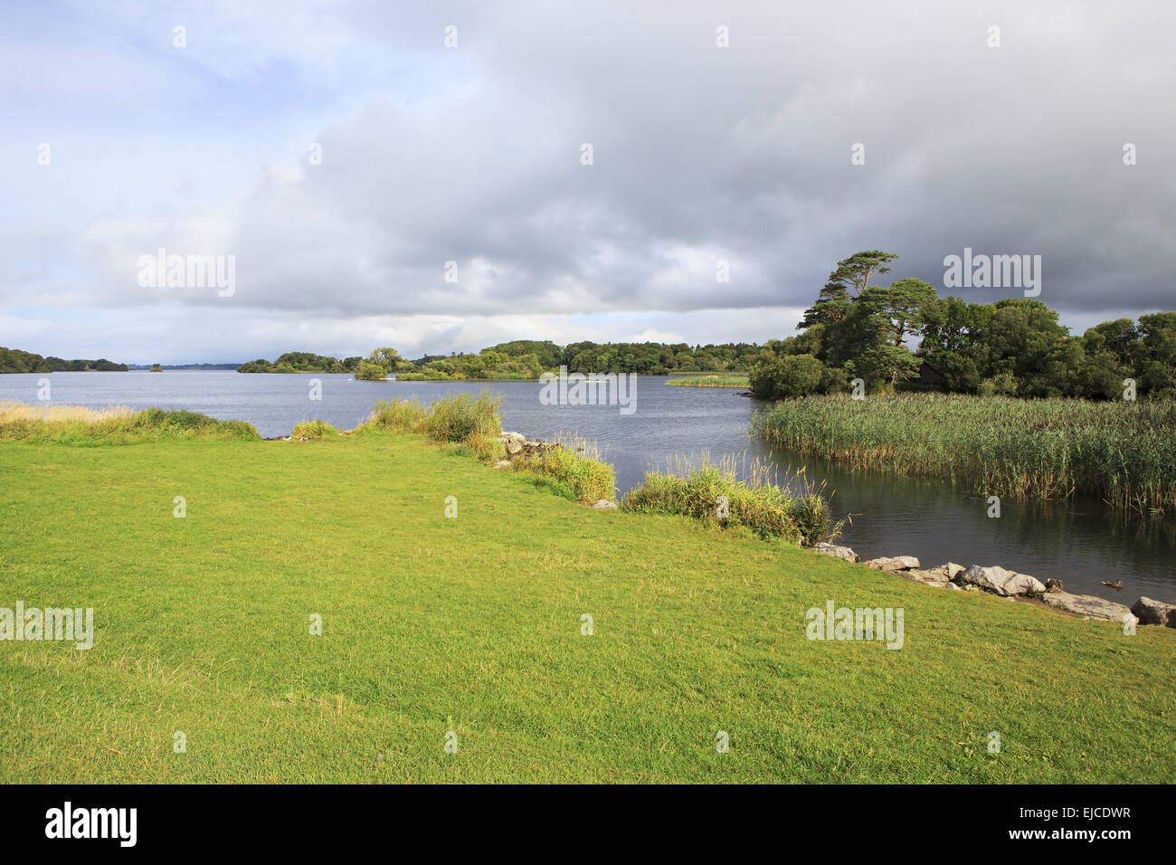 Ross Bay Lough Leane Untersee. Stockfoto