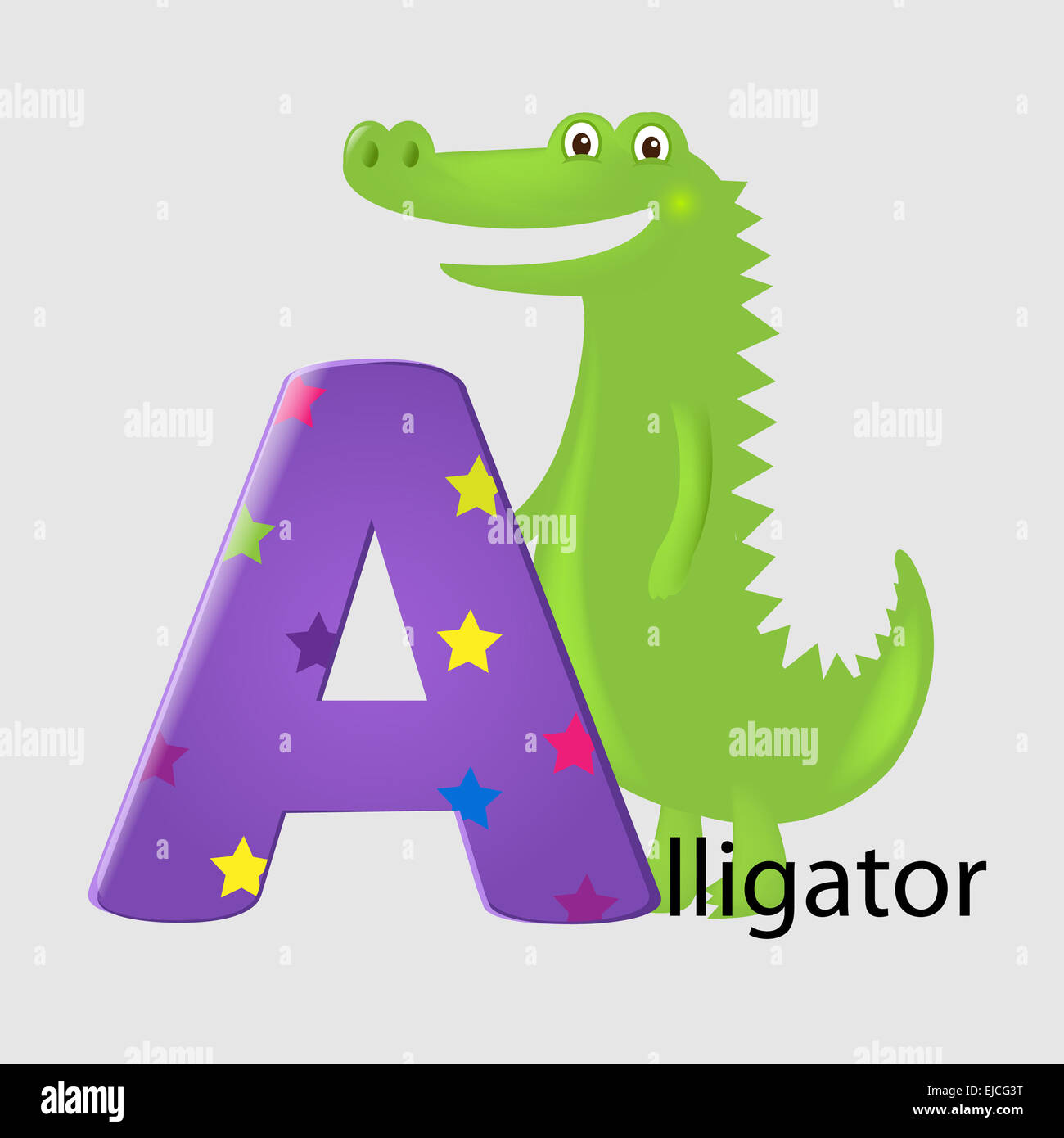 Alligator mit Buchstabe A Stockfoto