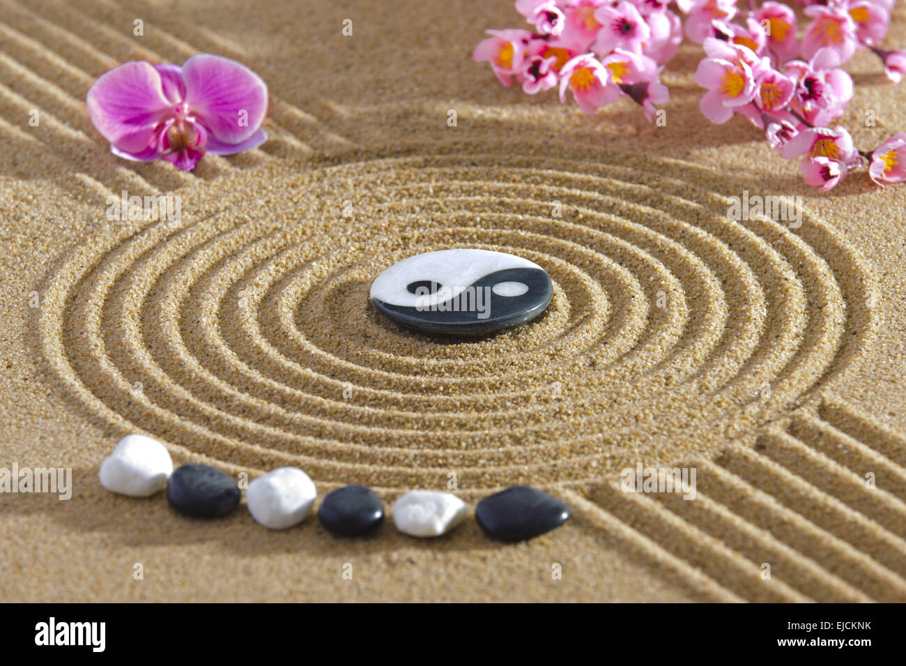Japanischer Zen-Garten mit Yin Yang im sand Stockfoto
