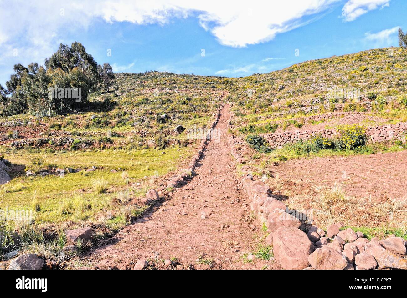 Terrasse-Anbau am Titicacasee Peru Stockfoto