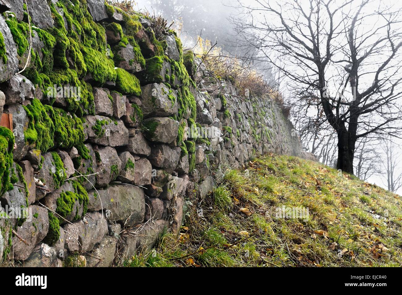 Trockenbau bei nassem Wetter neblig Stockfoto