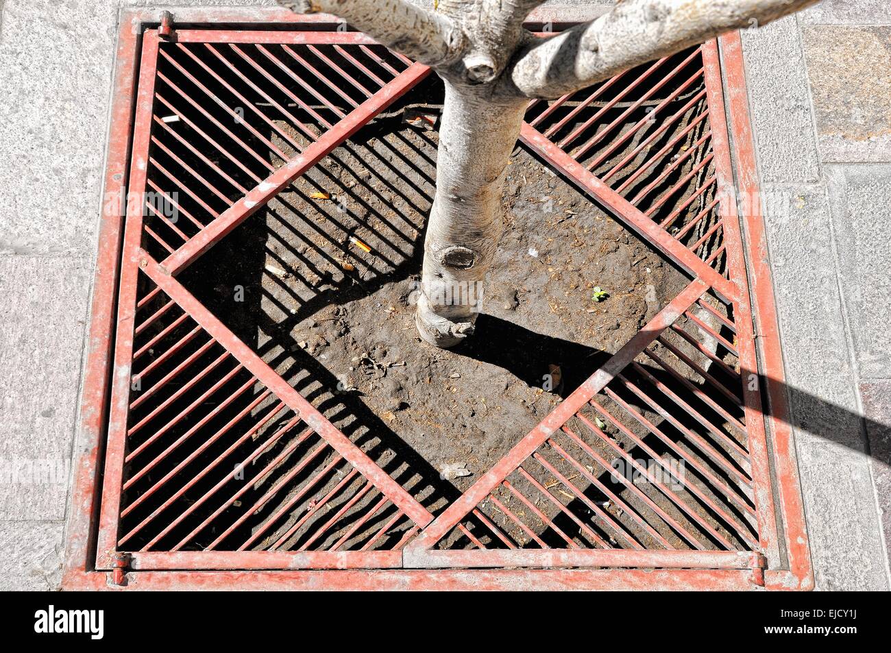 Schutz "und" Papierkorb Baum in der Stadt Stockfoto