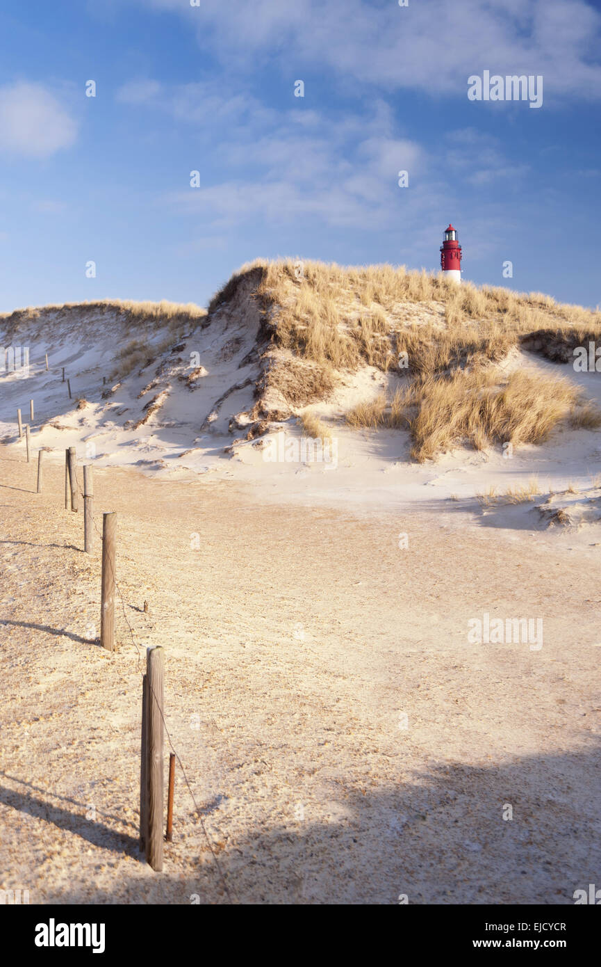 Leuchtturm auf Amrum Stockfoto