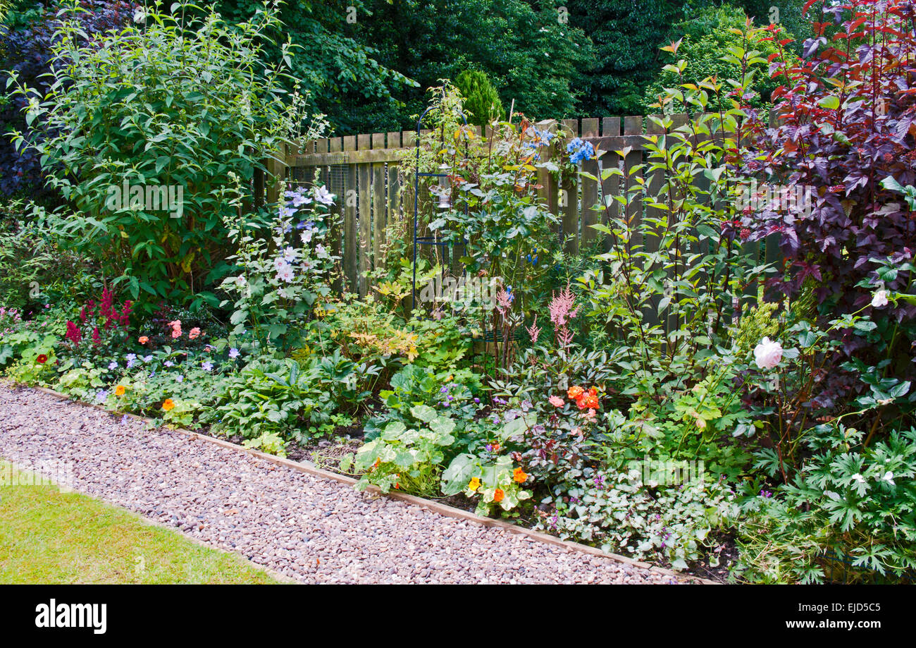 Krautige Grenze mit blühenden Pflanzen und Sträuchern, neben Stein Weg, Holzzaun hinter, im englischen Garten, Sommer Stockfoto