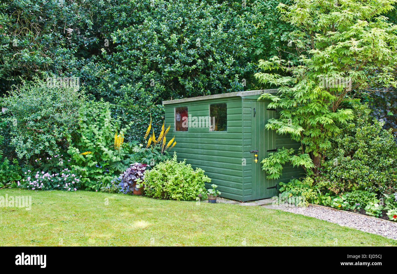 Grüne Gerätehaus in Ecke des englischen Garten mit angrenzenden gemischten Strauch- und Staudenrabatten, Holly Hecke hinter Sommer Stockfoto