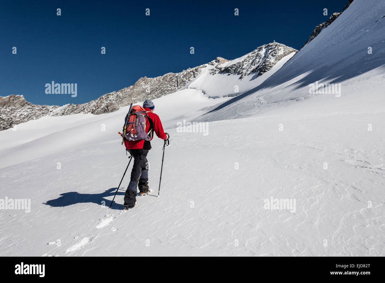 Bergsteiger, aufsteigend, Hoher Weißzint, Gliederferner, Hoher Weißzint hinter, Zillertaler Alpen, Lappach, Mühlwaldertal Stockfoto