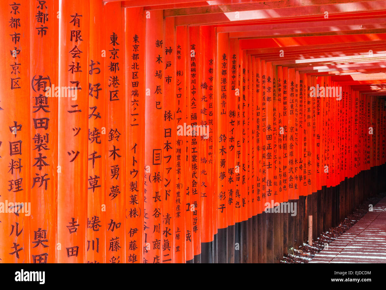 Detail der Zinnober farbigen Torii Toren des Fushimi Inari Schrein, Kyoto, Japan Stockfoto