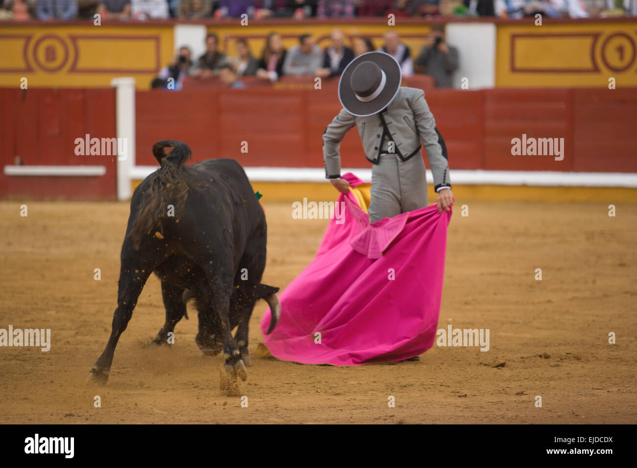 Der Torero kämpft in der Wohlfahrt Stierkampf, Badajoz, Spanien Stockfoto