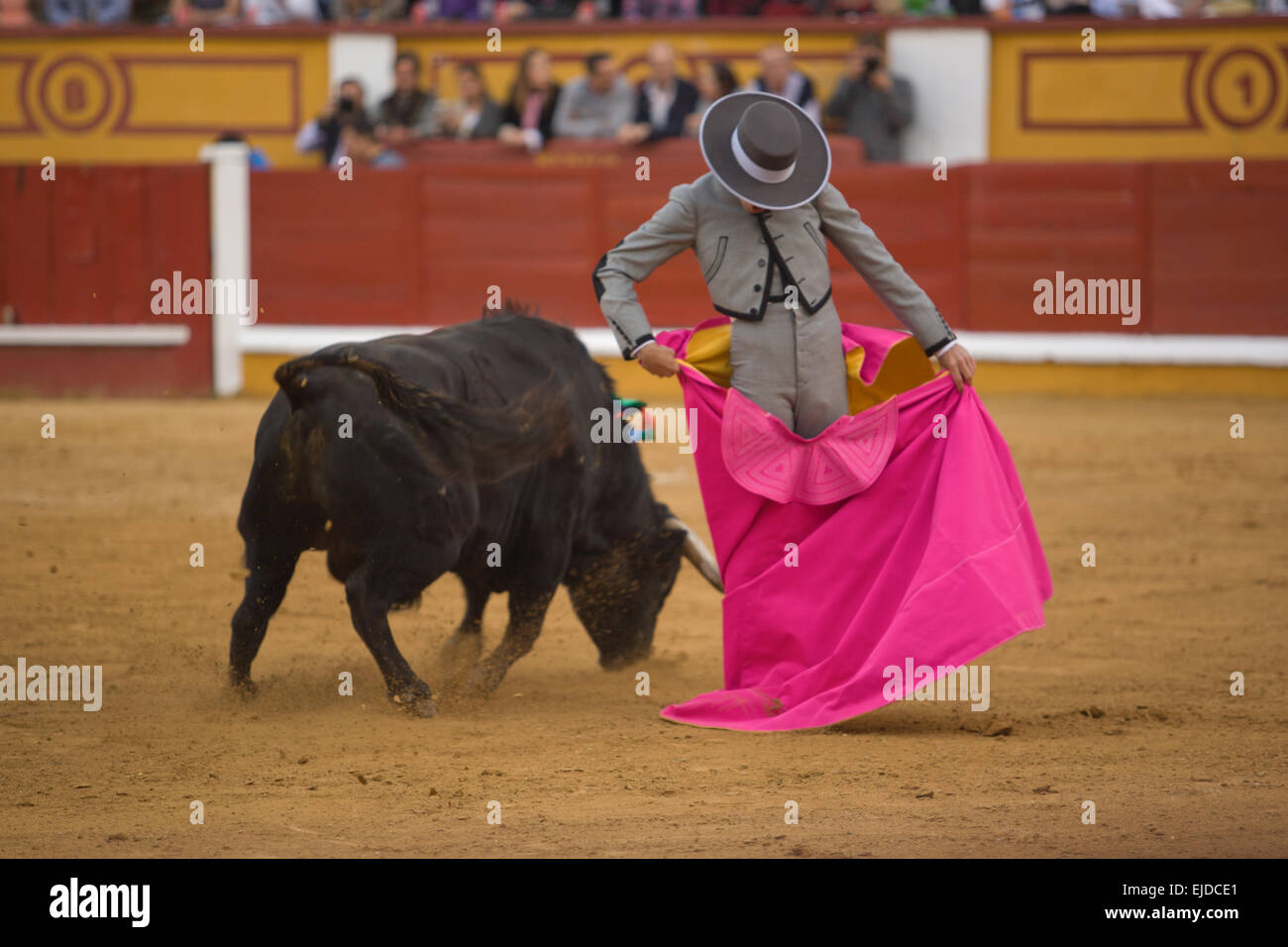 Der Torero kämpft in der Wohlfahrt Stierkampf, Badajoz, Spanien Stockfoto