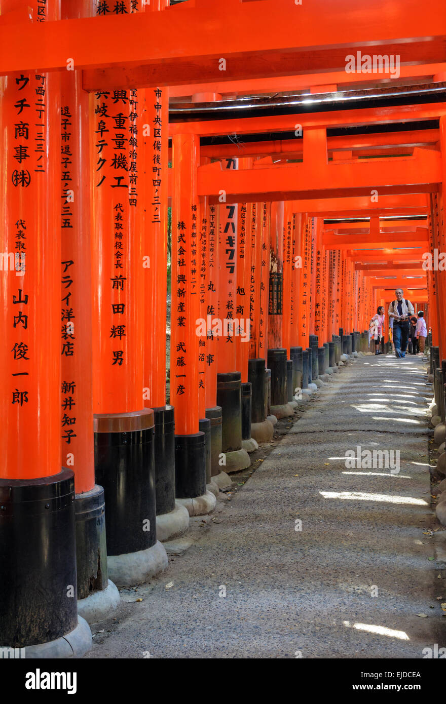 Zinnober Torii Toren des Fushimi Inari Schrein, Kyoto, Japan Stockfoto