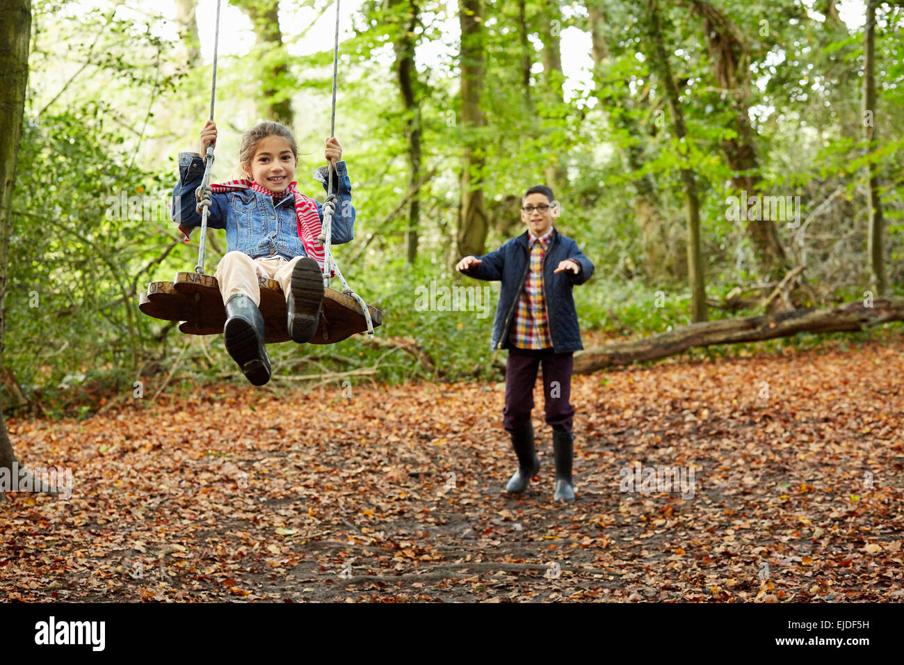 Buchenwälder im Herbst. Ein Mädchen sitzt auf einer Schaukel, gedrängt von ihrem Bruder. Stockfoto