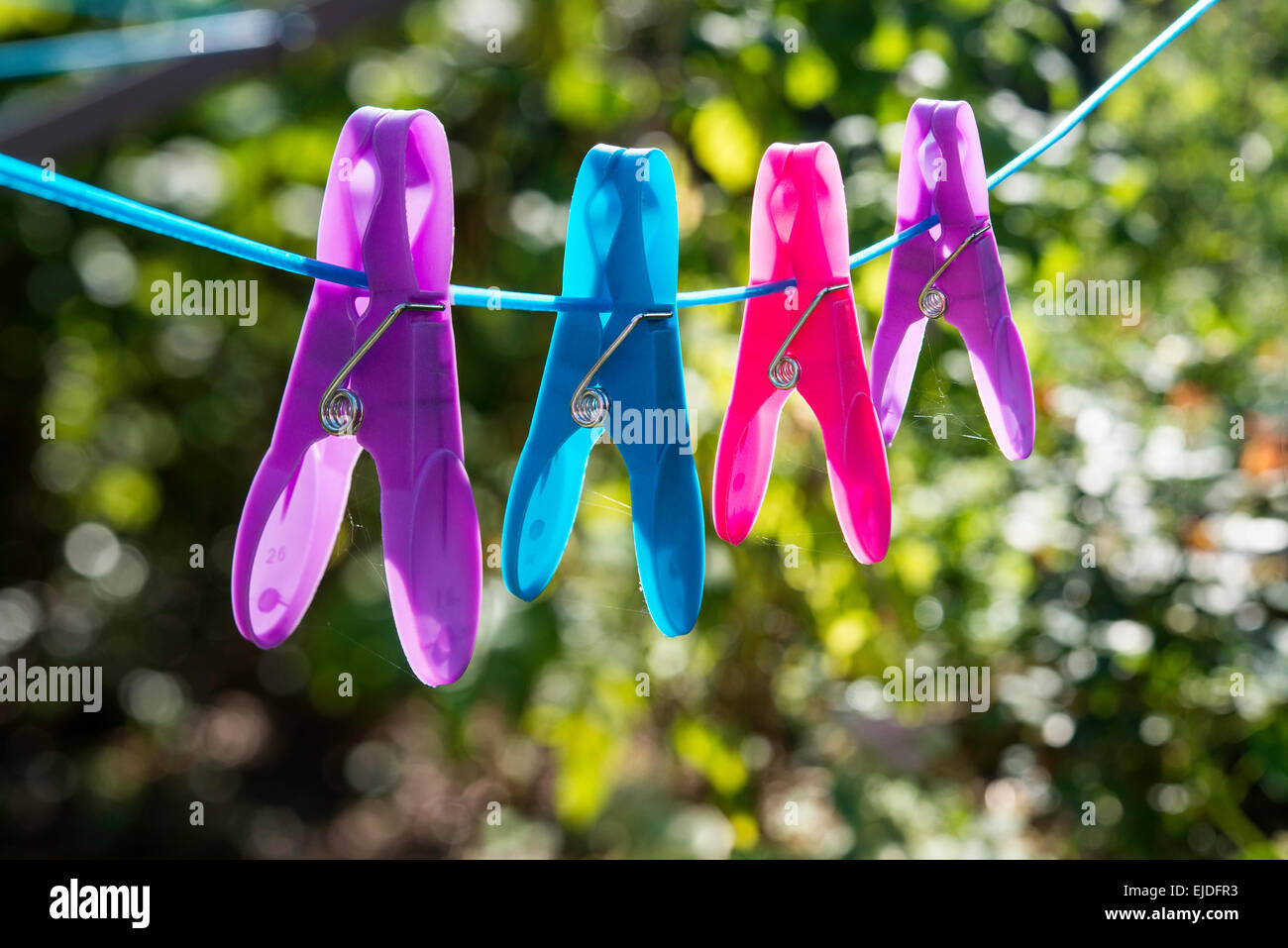 Vier hell farbige/bunte Wäscheklammern auf rotary Wäscheleine im heimischen Garten Gloucestershire England UK Stockfoto