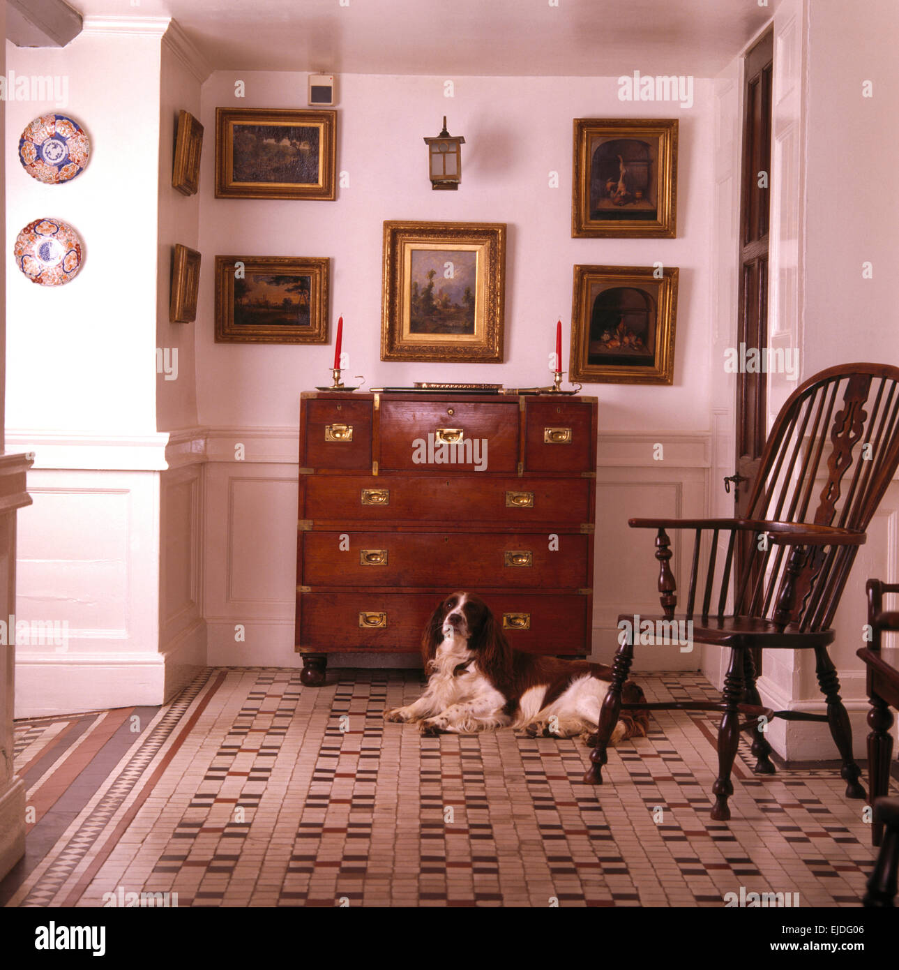 Cocker Spaniel auf Boden liegend in Land-Saal mit einer antiken Windsor Stuhl und Kommode Stockfoto