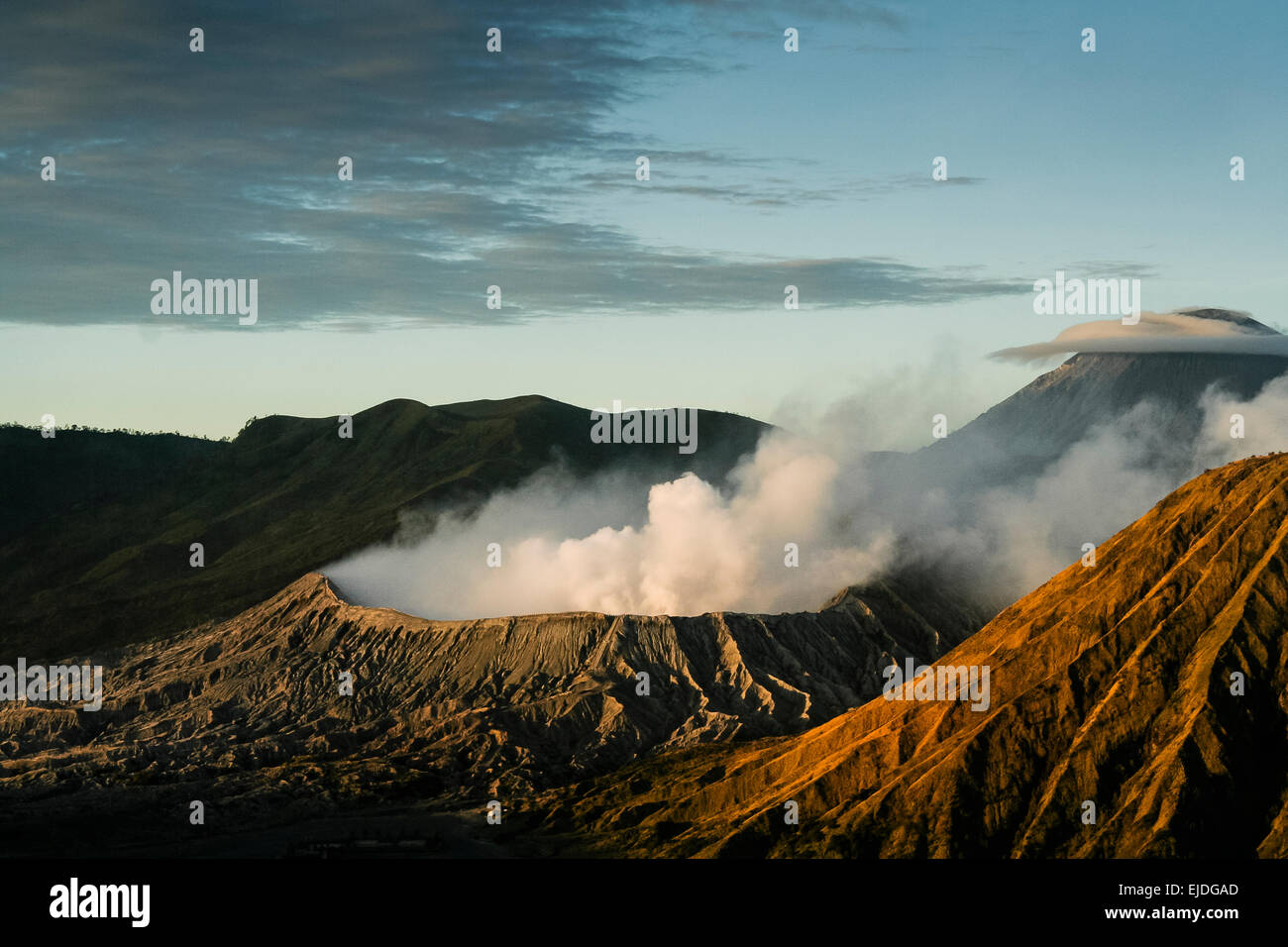 Mt. Bromo, Indonesien. Blick auf den Vulkan Mount Bromo im frühen Morgenlicht. Stockfoto