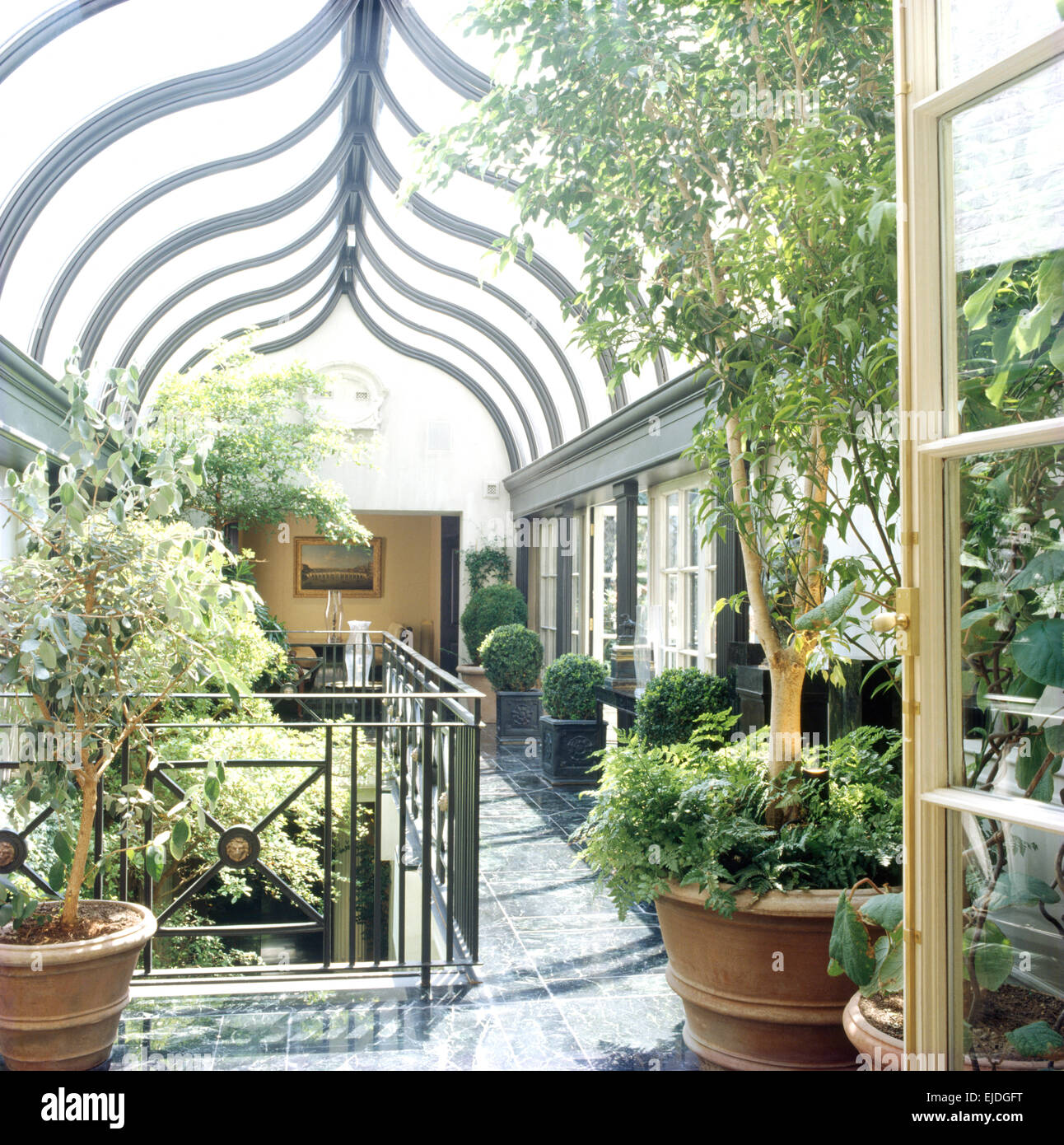Große grüne Pflanzen in Töpfen im eleganten Wintergarten mit Glasdach