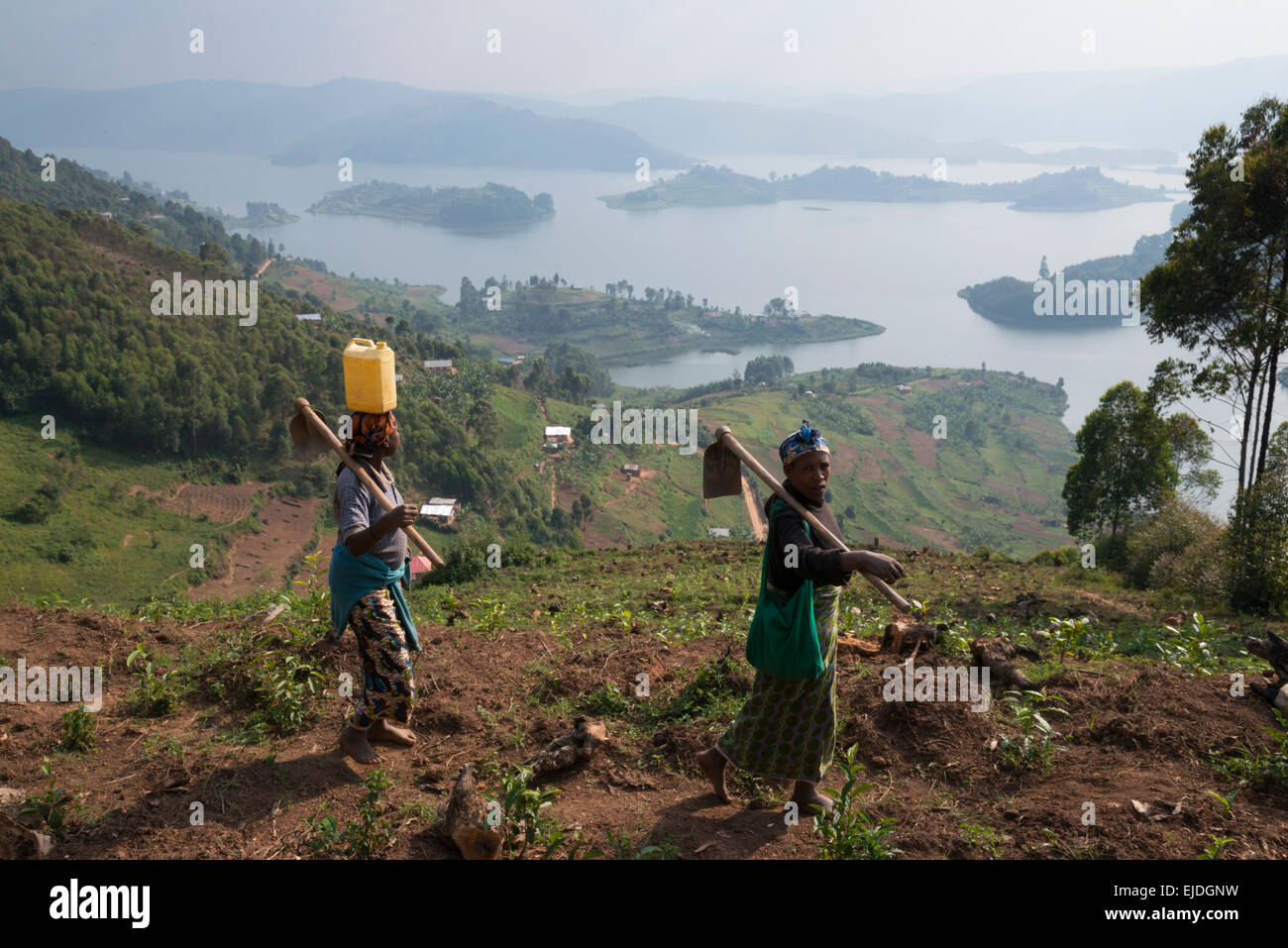 Bäuerin mit Lake Bunyonyi im Hintergrund. Uganda. Stockfoto