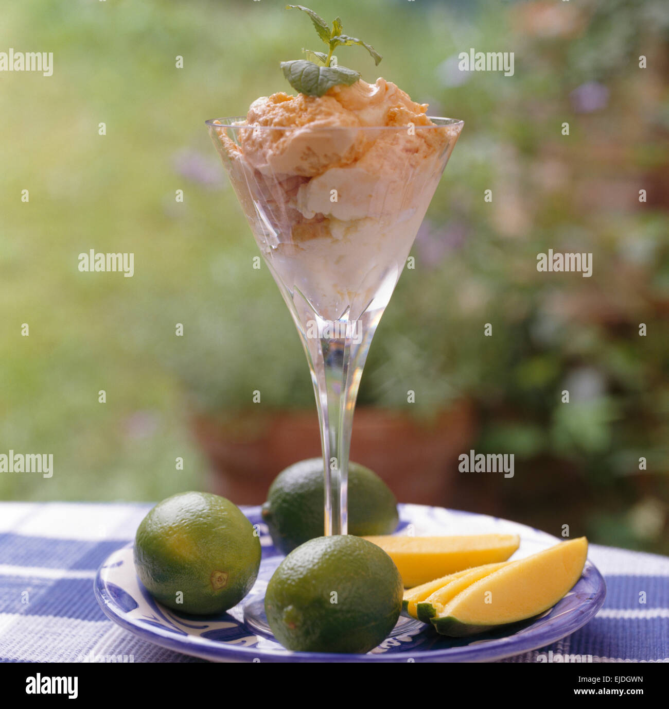 Eis in großen Eisbecher Glas auf Teller mit frischen Limetten und Scheiben Melone Stockfoto