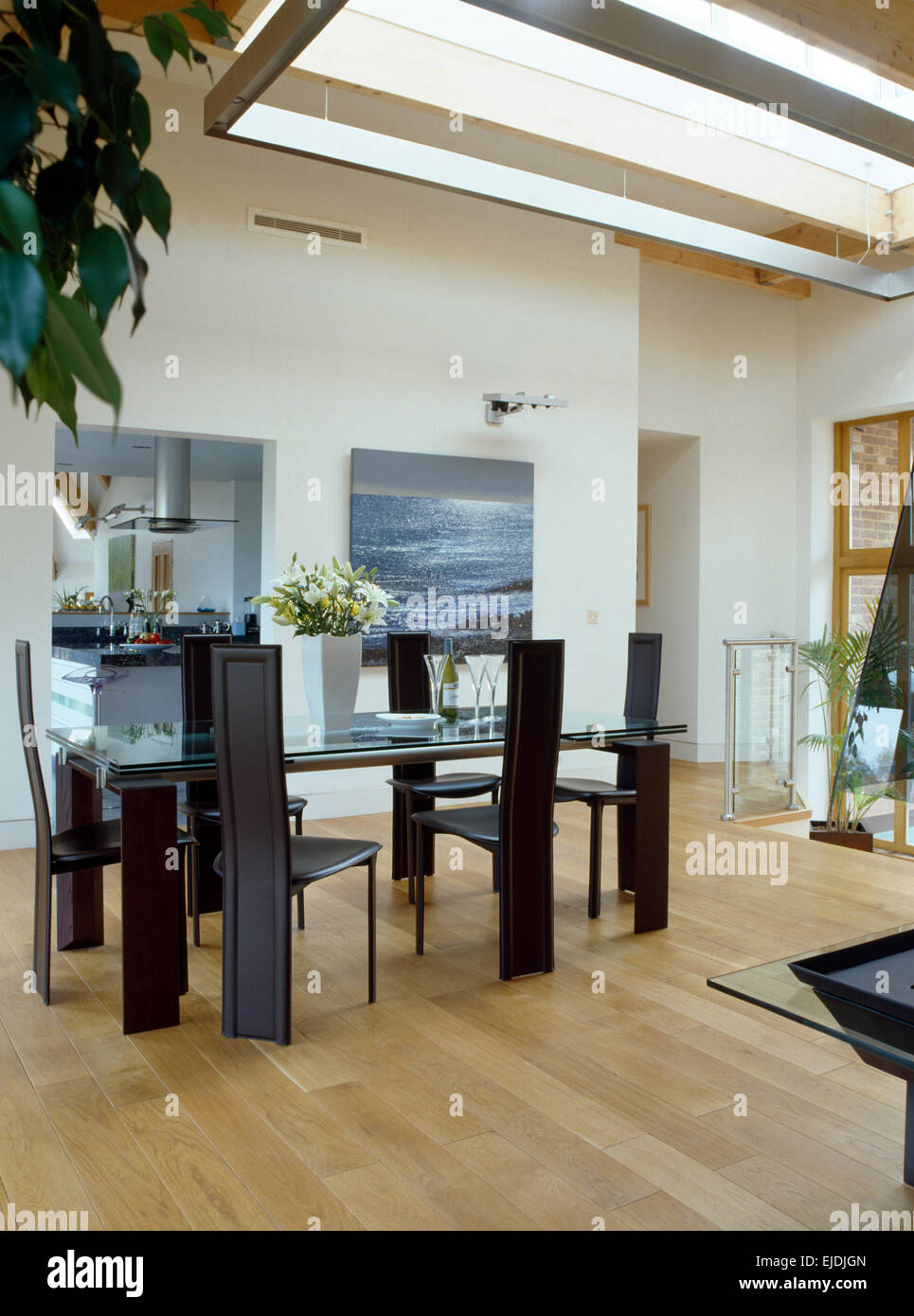 Tall-Rücken liegen am Glastisch im modernen Speisesaal mit hellen Holzboden Stockfoto
