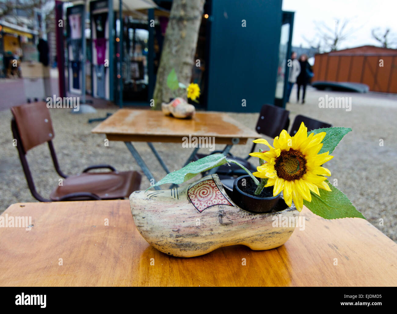 Holzschuh mit Sonnenblumen Pflanze im Inneren sitzt auf einer Outdoor-Café-Tisch im Museum Viertel von Amsterdam. Stockfoto