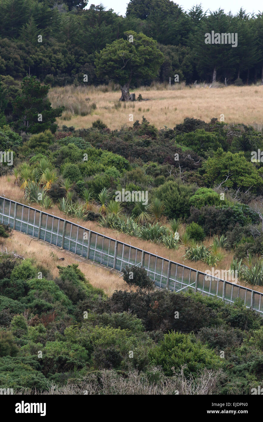 Orokonui Ecosanctuary Park New Zealand, Dunedin Orokonui Tal Waitati Stockfoto