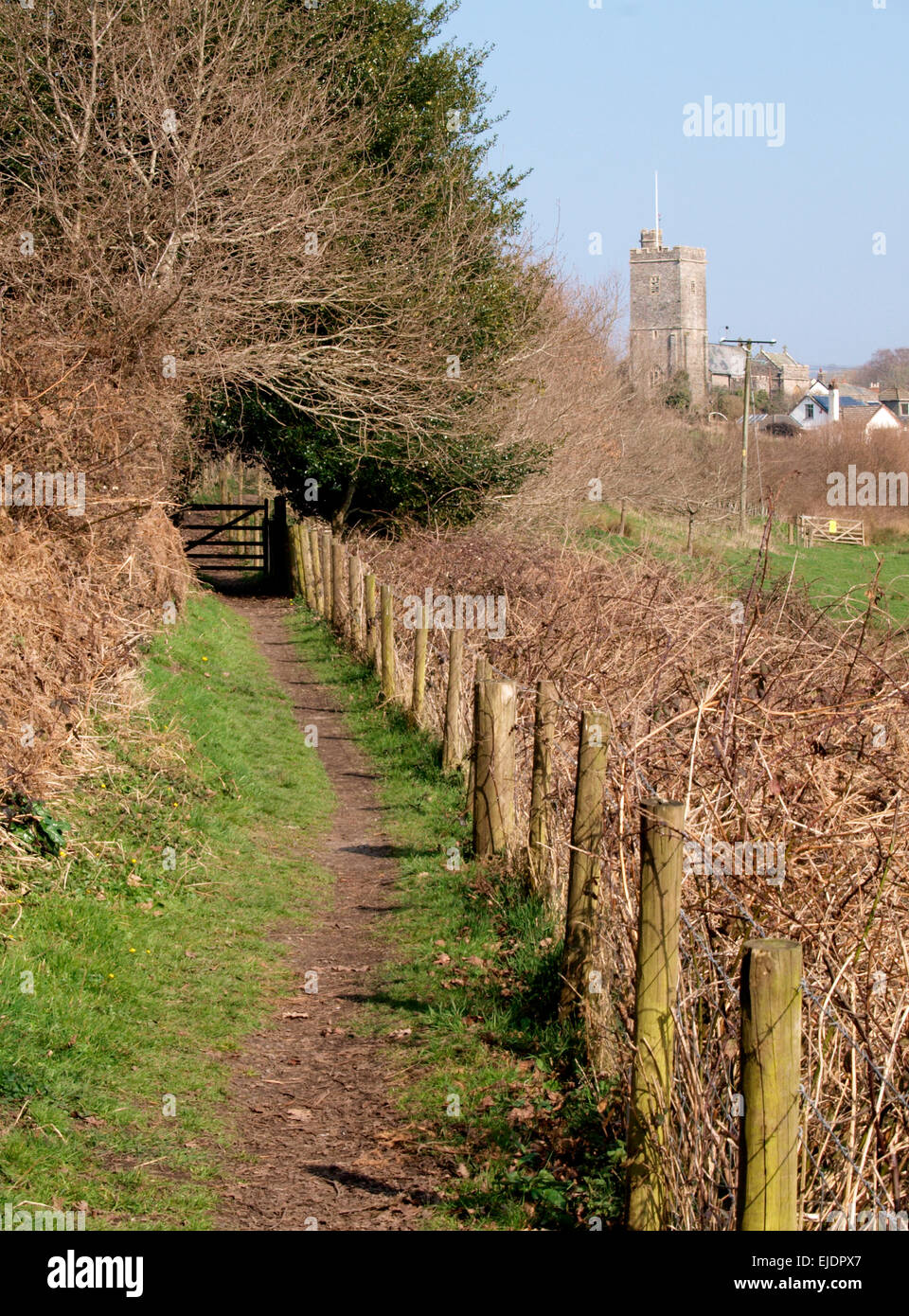 Tarka Trail mit der St. Pauls-Kirche in der Ferne, Landkey Stadt, Devon, UK Stockfoto