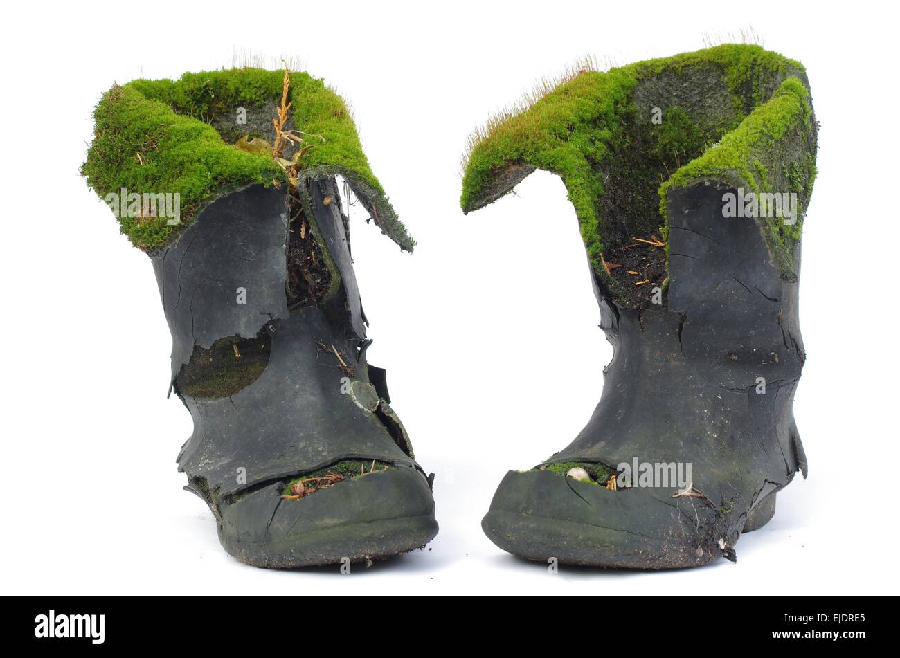 alten dreckigen Schuhen, bewachsen mit Moos und Pilzen Stockfoto