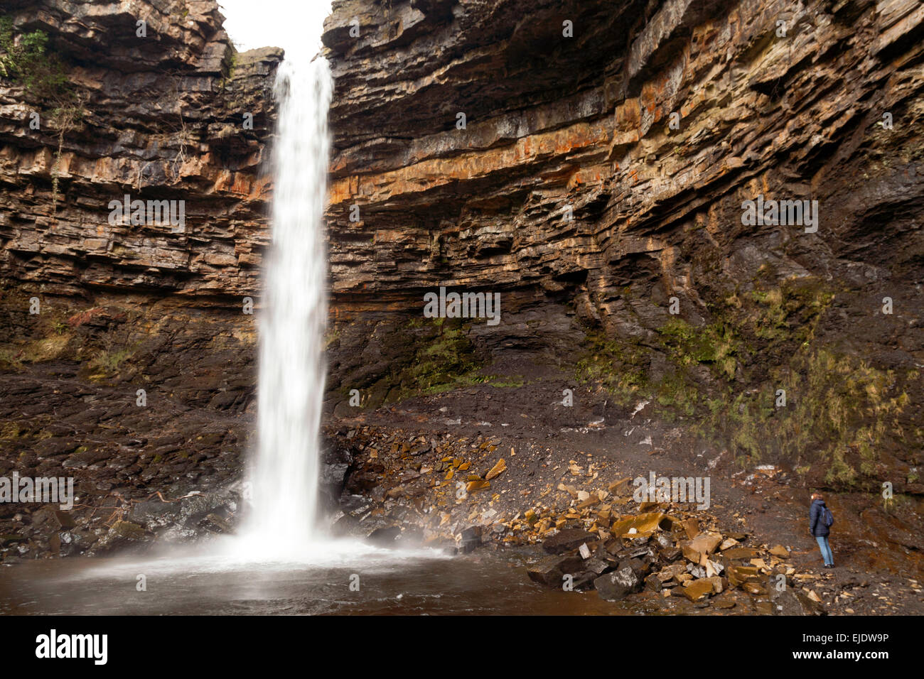 Eine Frau Walker betrachten Hardraw Force Wasserfall fällt, North Yorkshire Dales Nationalpark, Yorkshire England UK Stockfoto