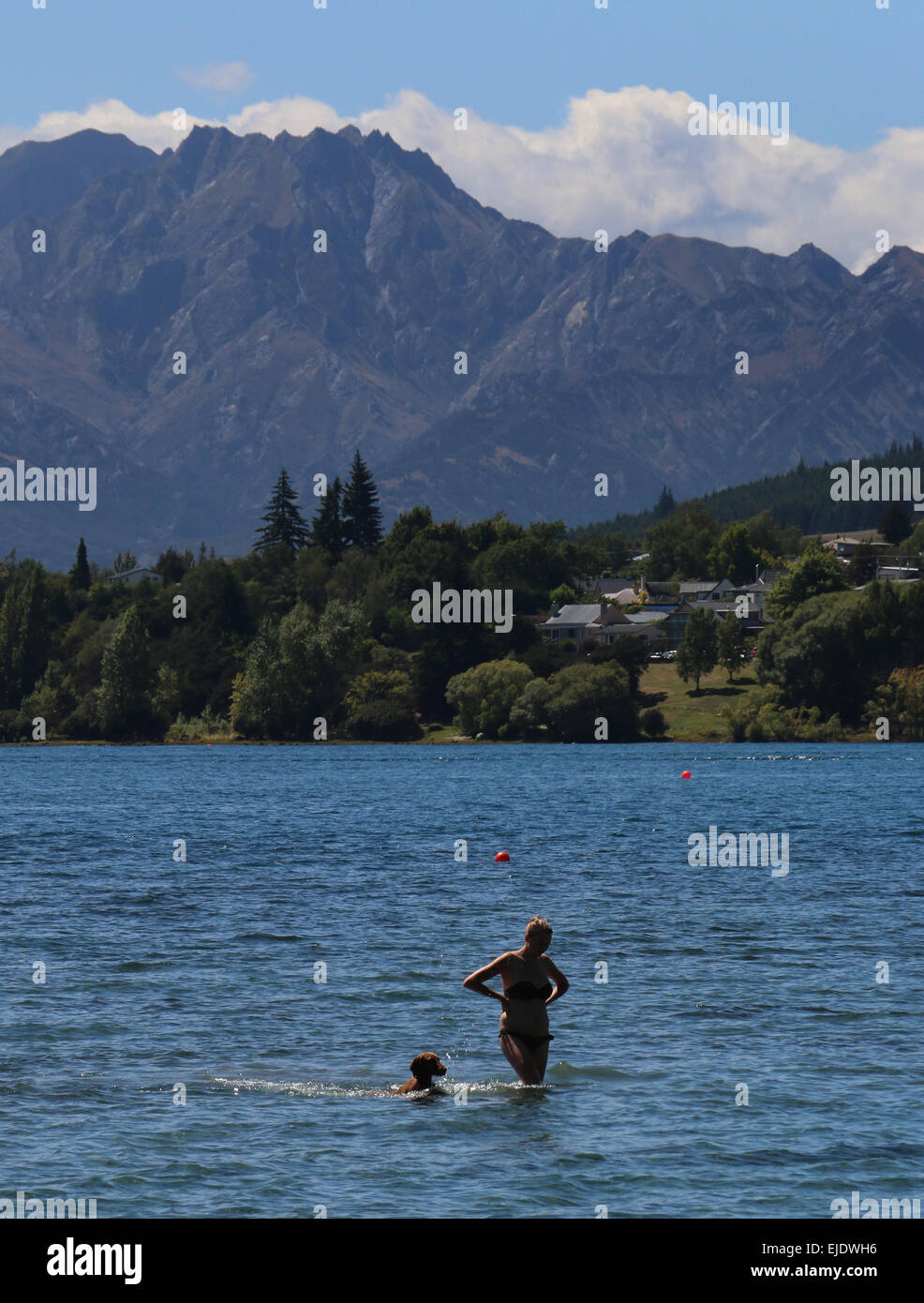 Frau mit Hund am See Wanaka, Region Otago Seen Wanaka Neuseeland schwimmen Stockfoto