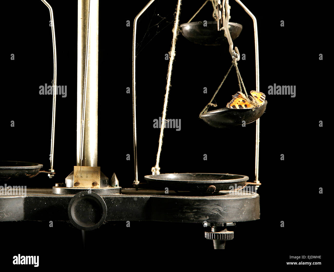 Vintage Skalen Gewichtung Maschine mit schönen Schmetterling auf Cup auf schwarzem Hintergrund isoliert Stockfoto