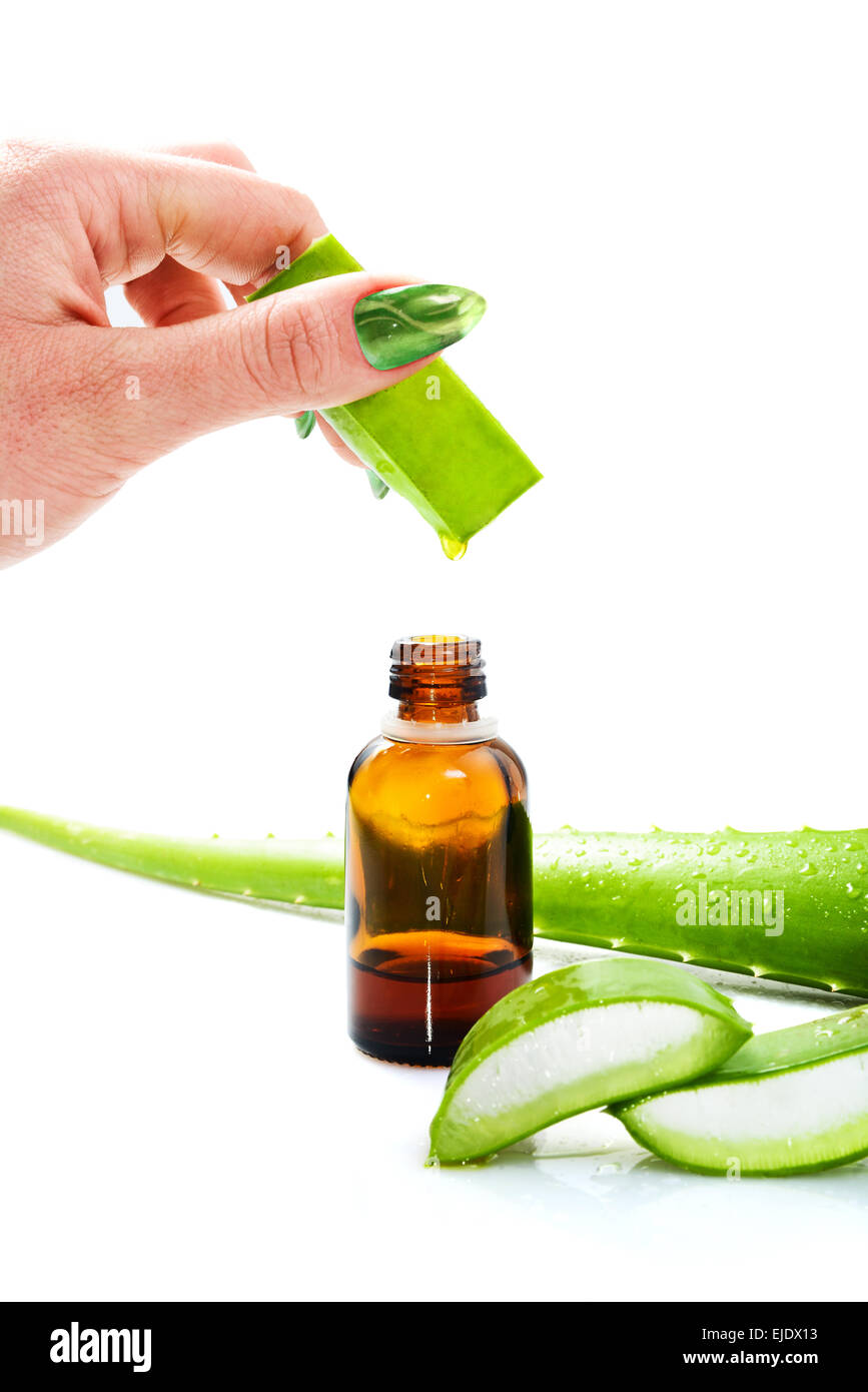 Zarte Frauenhand Fallenlassen einen Tropfen aus dem Blatt der Aloe Vera in einer Flasche Stockfoto