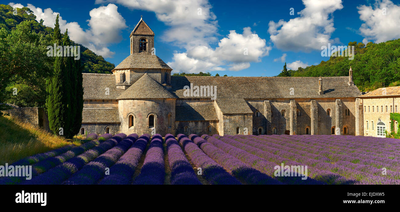 Die 12. Jahrhundert Romanesque Zisterzienser Abtei Notre-Dame von Senanque, in blühenden Lavendel Felder der Provence. Stockfoto