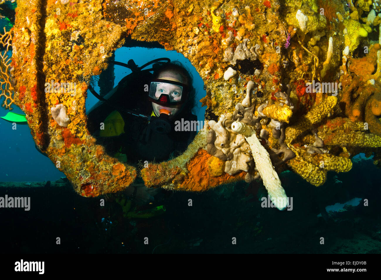 Ein Taucher sieht durch ein Lesleen M Frachter Wrack Bullauge mit Korallen und Rohr bedeckt Schwämme, Castries, St. Lucia. Stockfoto