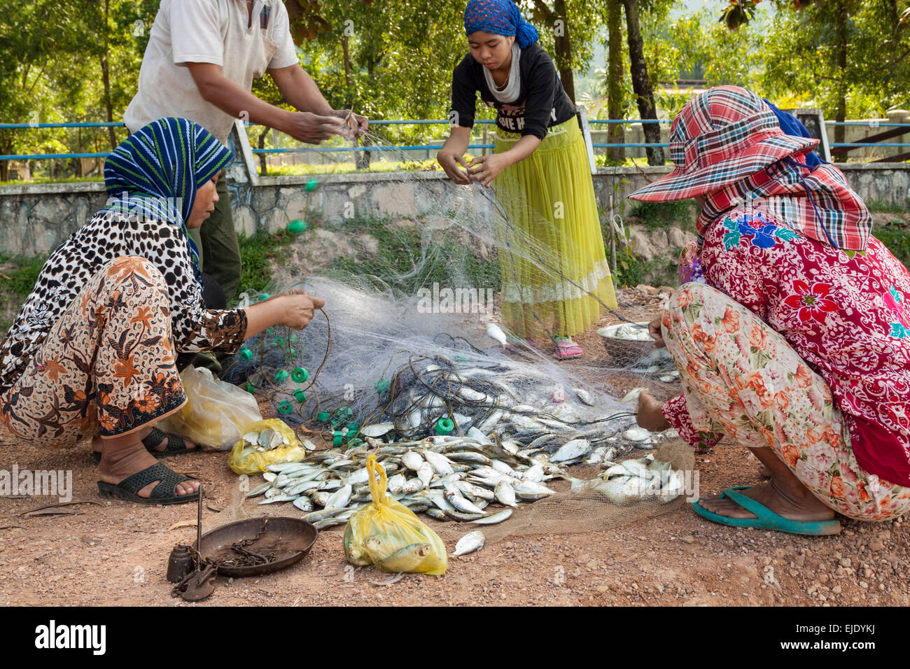 Fischerei in Kambodscha, Asien. Eine Familie sortieren Fisch zu verkaufen. Stockfoto