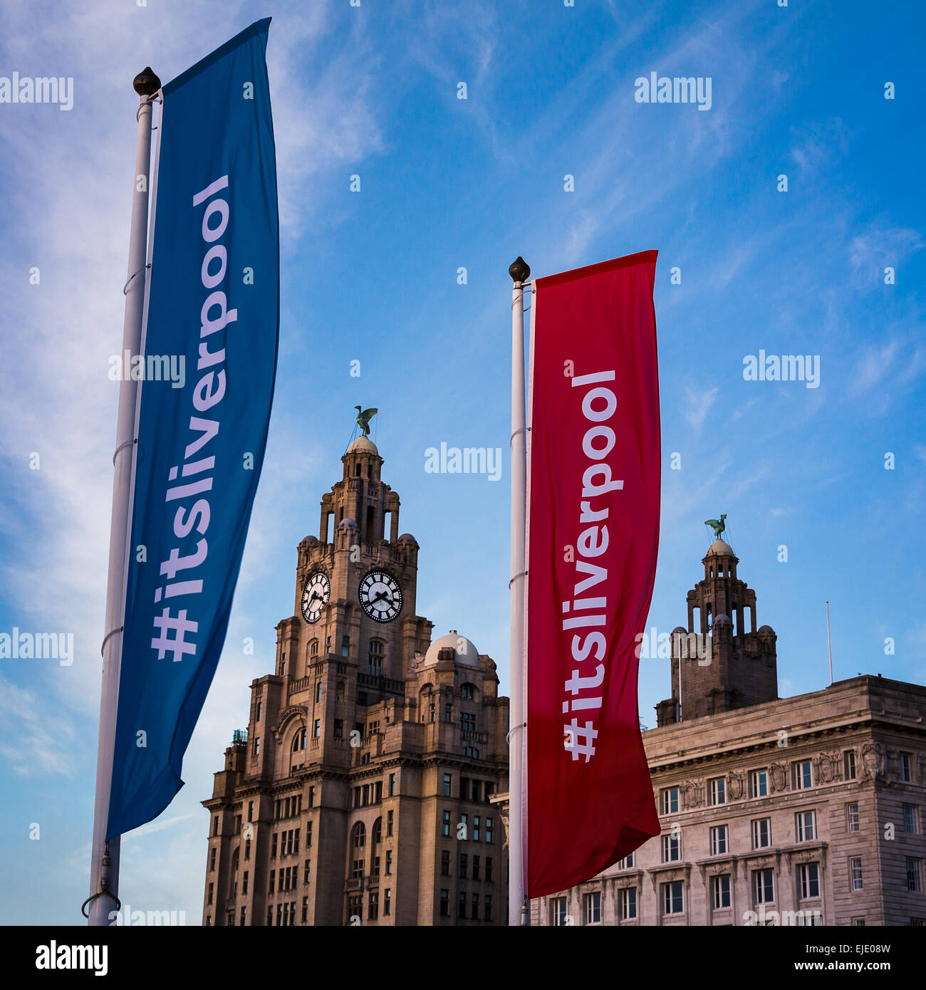 Fahnen vor dem Cunard & Royal Liver Buildings. Stockfoto