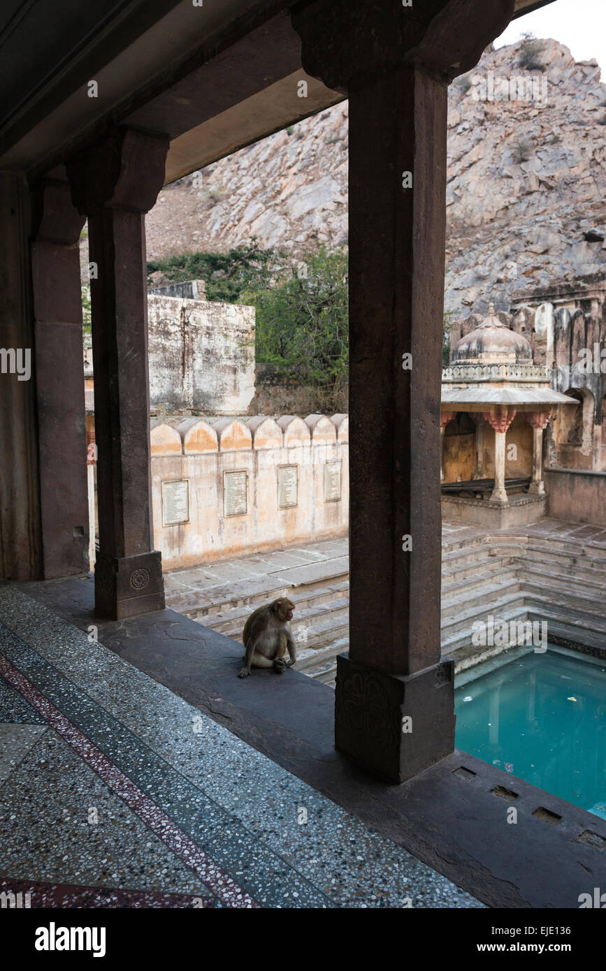 Galtaji Hanuman Hindu-Tempel in der Nähe von Jaipur, Rajasthan, Indien Stockfoto