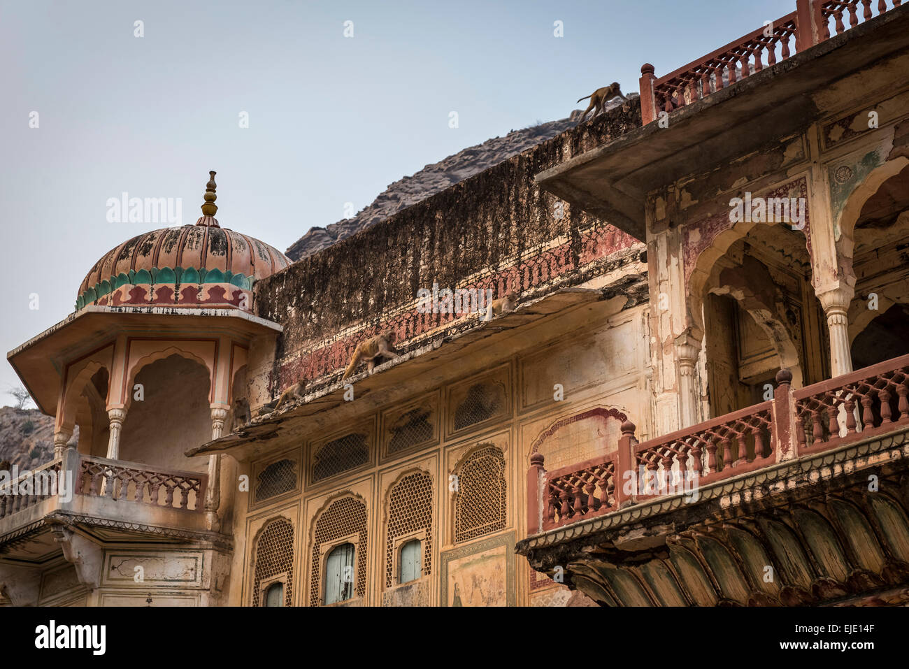 Galtaji Hanuman Hindu-Tempel in der Nähe von Jaipur, Rajasthan, Indien Stockfoto