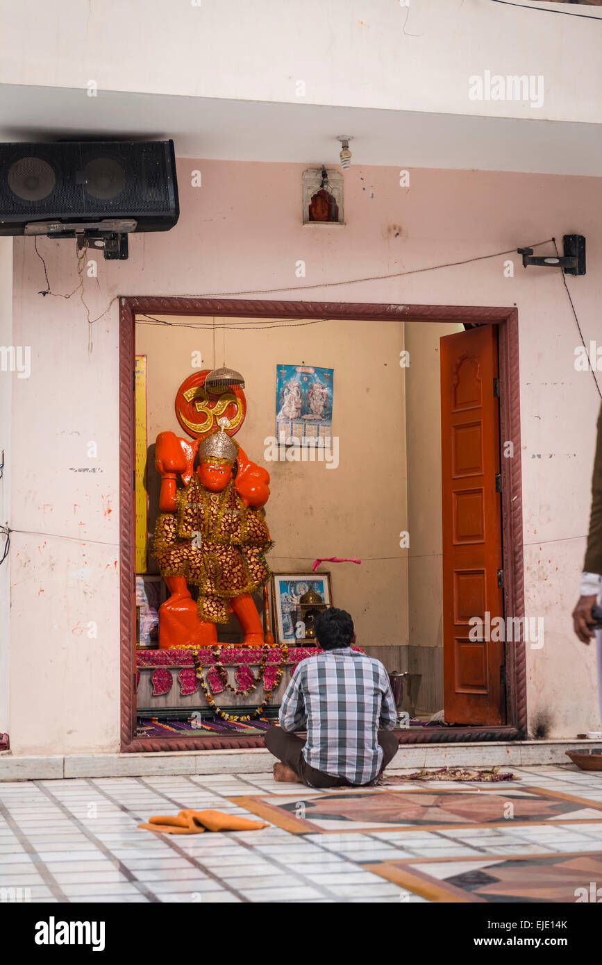 Hindus verehren auf Galtaji Hanuman Hindu-Tempel in der Nähe von Jaipur, Rajasthan, Indien Stockfoto