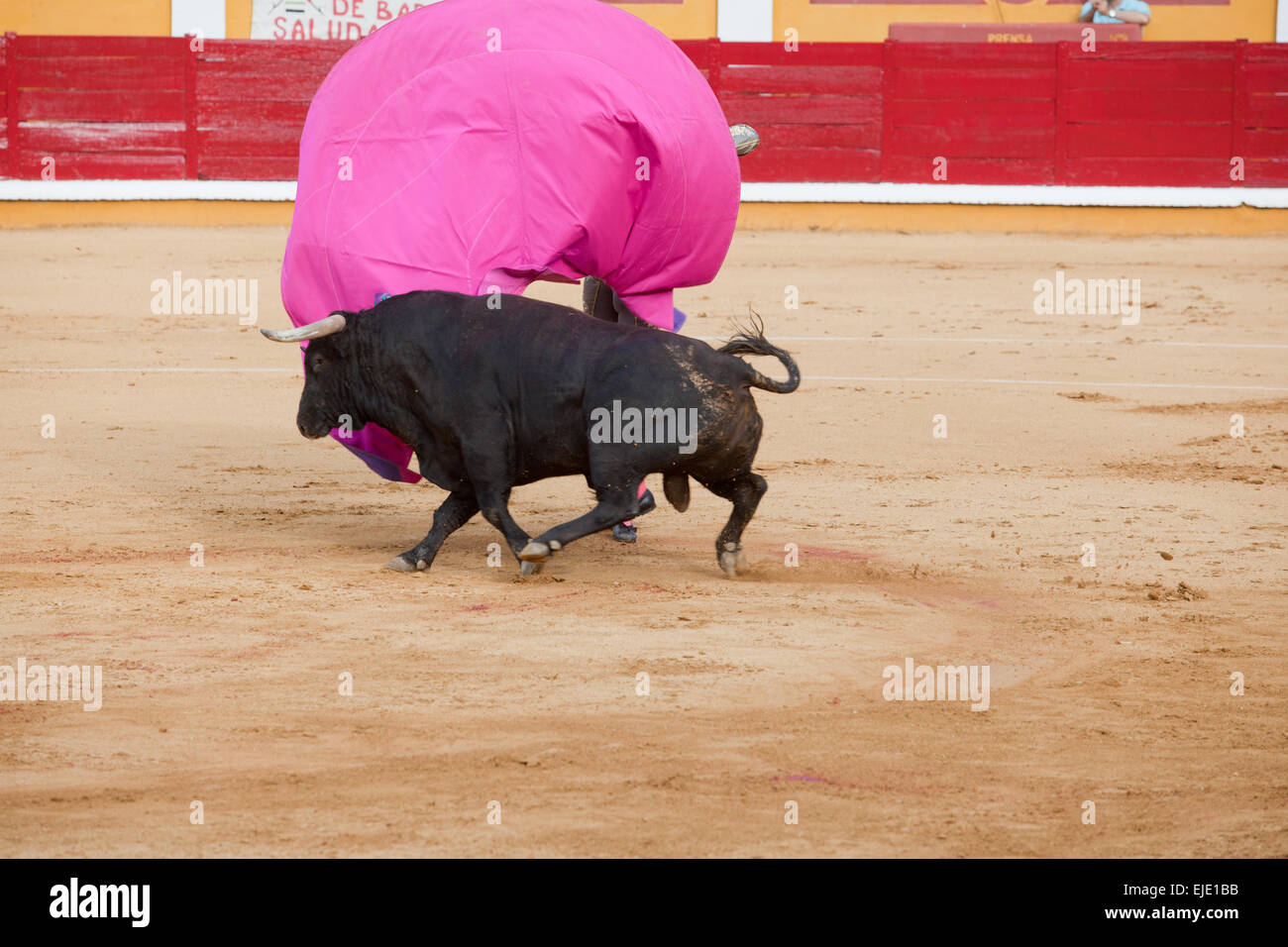 Spanischer Torero Durchführung eine Stierkampfarena mit seinem rosa Umhang Stockfoto