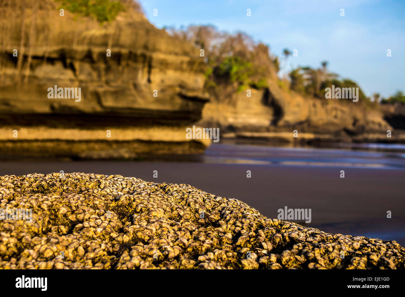 West-Küste der Insel. Balian Beach, Bali Indonesien. Stockfoto