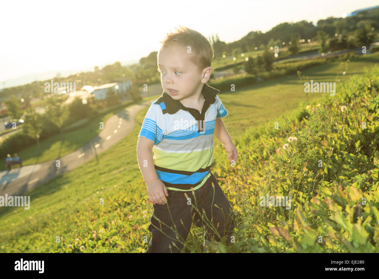 kleiner Junge bei Sonnenuntergang in einem Feld Stockfoto