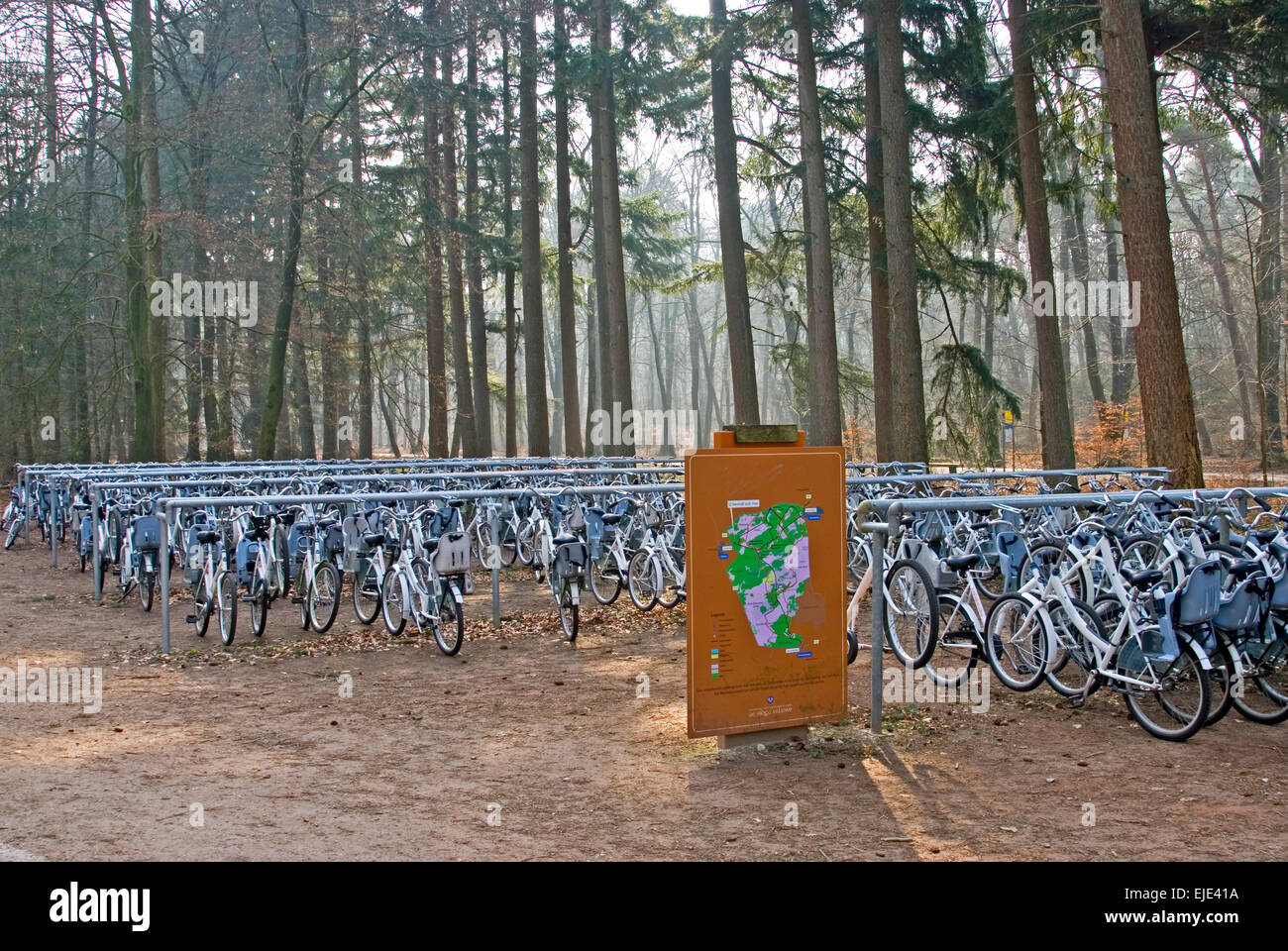 Weißen Fahrrad Verleih Schema der Nationalpark Hoge Veluwe in Gelderland, Niederlande Stockfoto