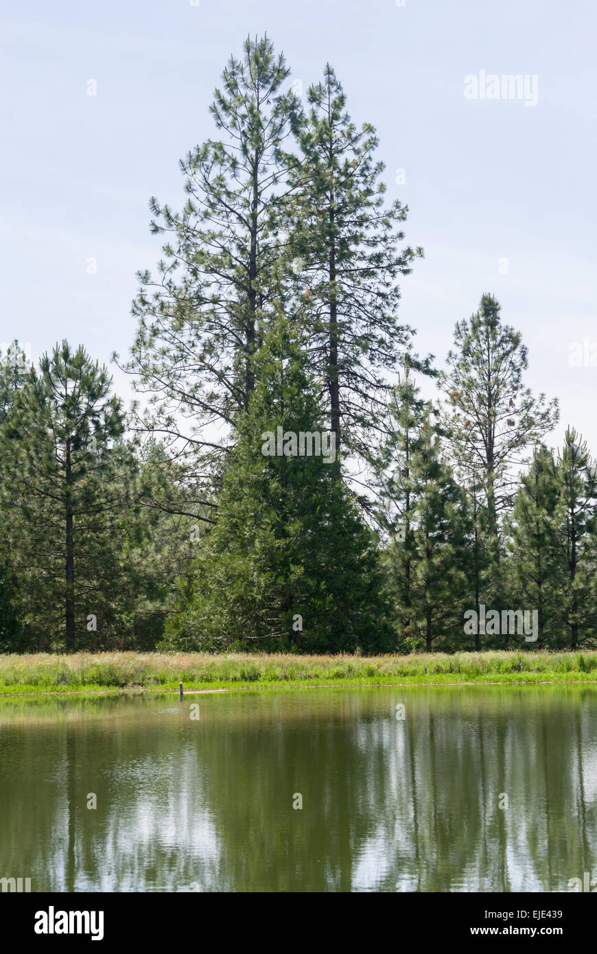 Berg-Teich. Stockfoto