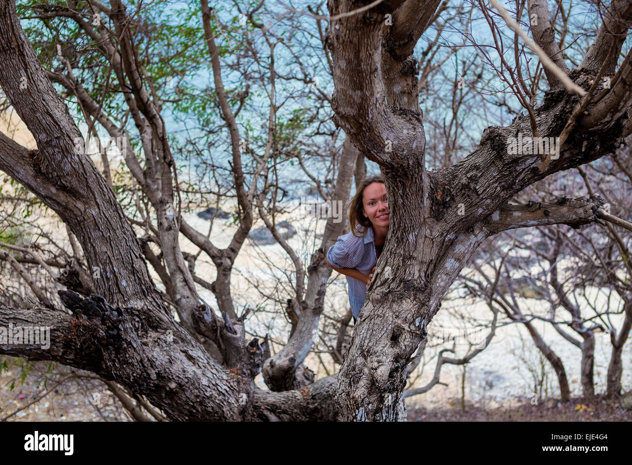 Yong-Frau auf dem Baum. Stockfoto