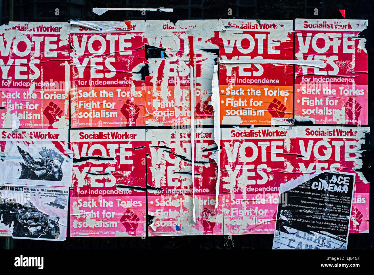 Abgenutzte und zerrissen "Abstimmung ja" Plakate für 2014 schottischen Unabhängigkeitsreferendum eingefügt am Fenster eines leeren Ladens in Edinburgh Stockfoto