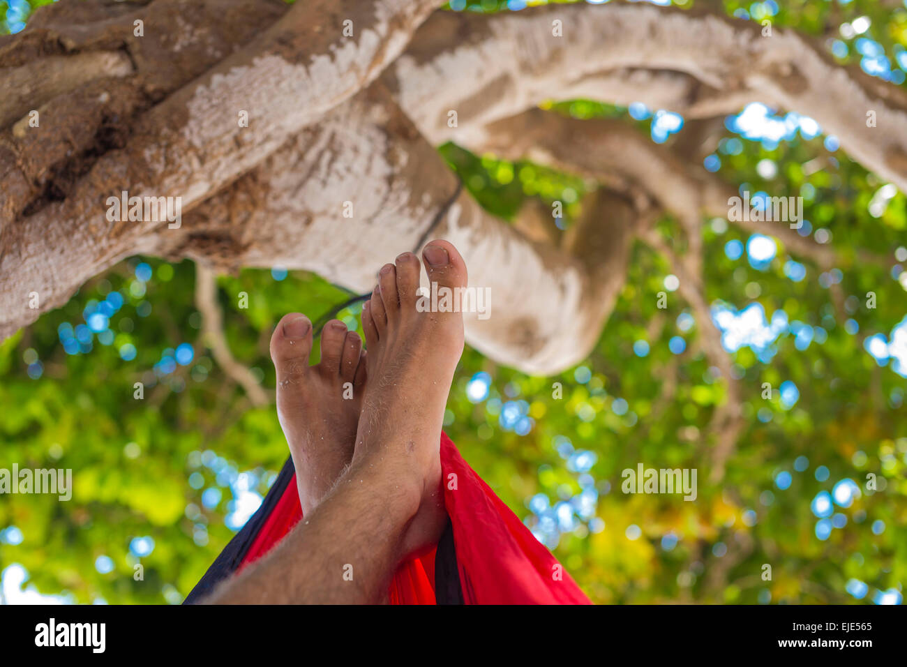 Relaxen In der Hängematte. Stockfoto