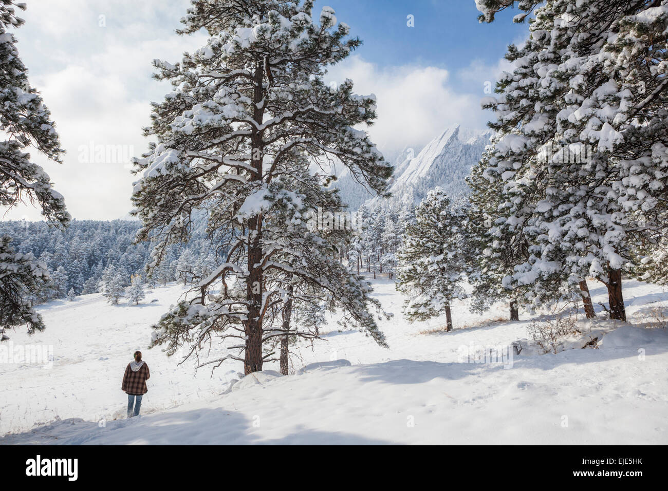 Eine junge Frau Wanderungen durch den Schnee in Richtung der Flatirons in Chautauqua Park, Boulder, Colorado. Stockfoto